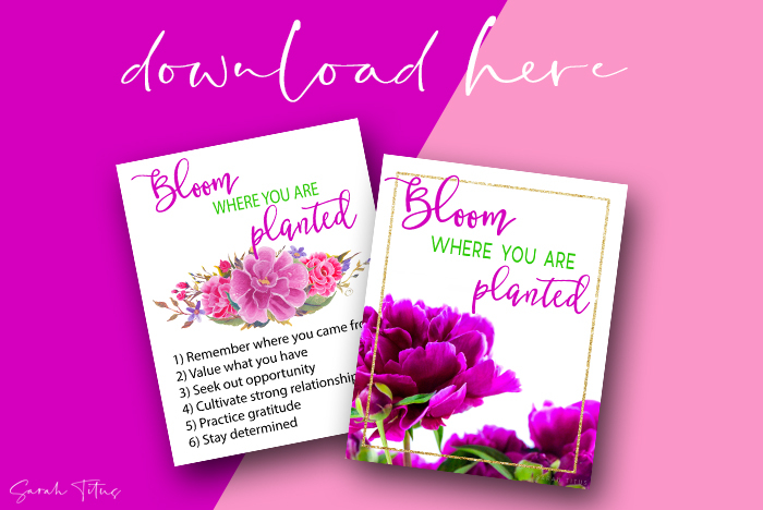 Bloom-Where-You-Are-Planted-Wall-Art-Printable