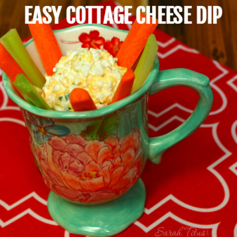 Cottage Cheese Dip Recipe - Get Kids to Eat Their Veggies