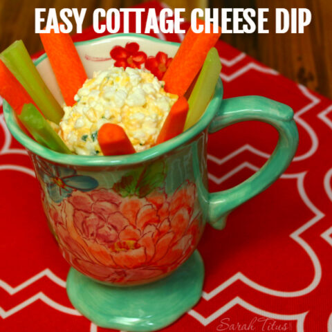 Cottage Cheese Dip Recipe - Get Kids to Eat Their Veggies