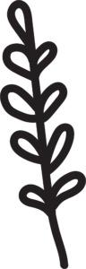 Branch with Leaves