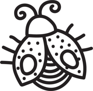 Ladybug Doodle