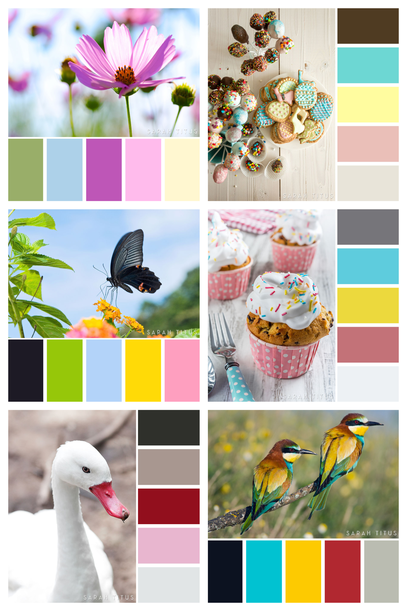 Spring Color Palette