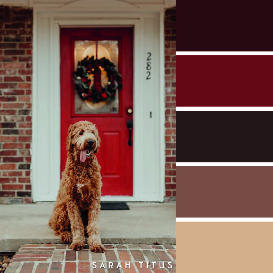 Looking for some color scheme inspiration with a festive twist? These 25 Christmas color palettes are perfect for color combination ideas this Holiday season!