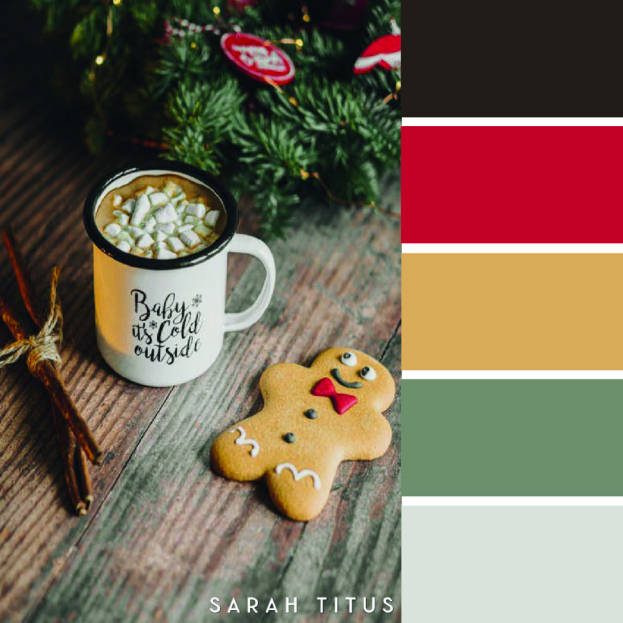 Looking for some color scheme inspiration with a festive twist? These 25 Christmas color palettes are perfect for color combination ideas this Holiday season!