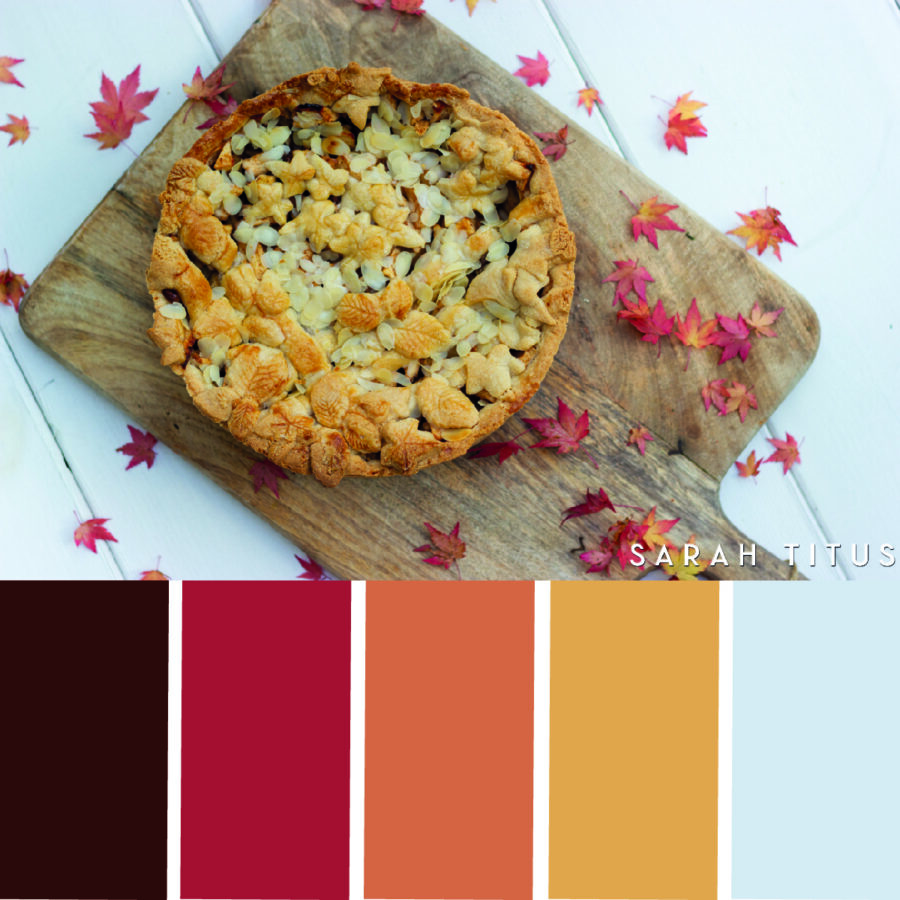 Looking for some Thanksgiving color scheme inspiration? These 25 Thanksgiving color palettes with hex codes are perfect for color combination ideas this Holiday season!