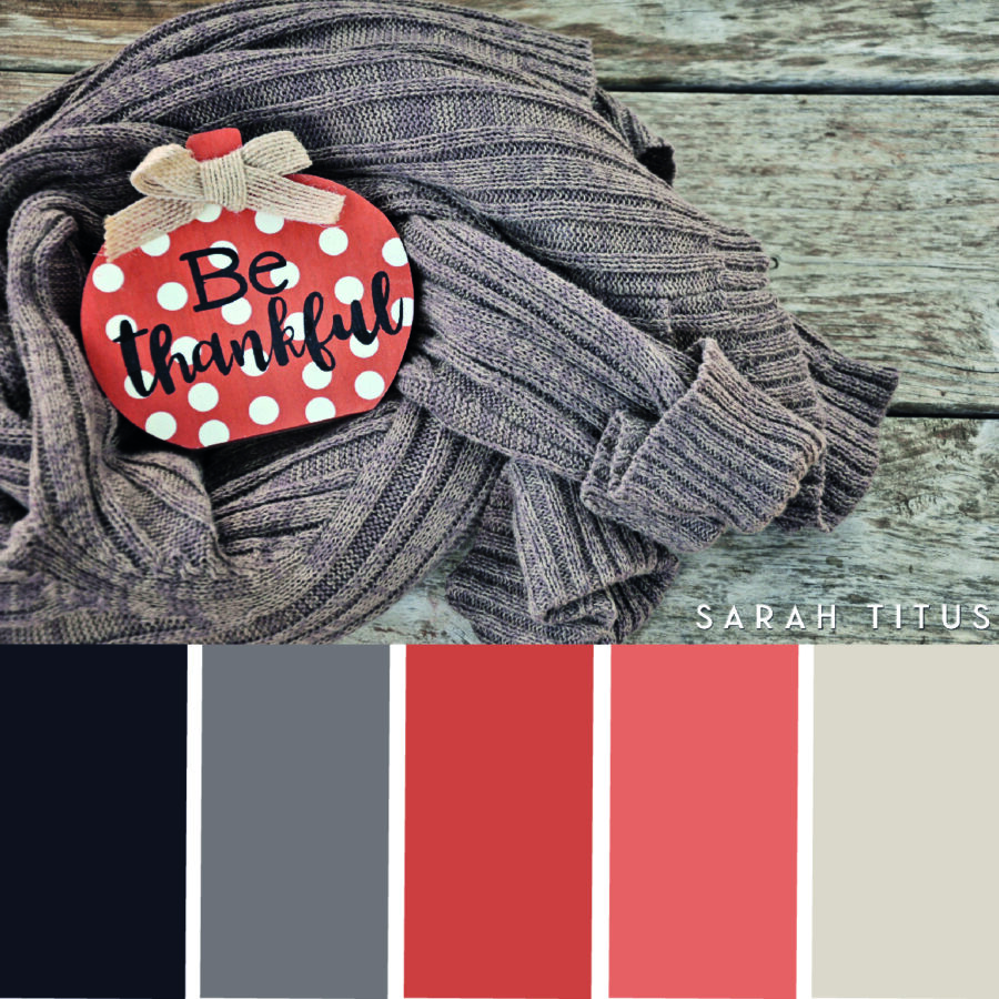 Looking for some Thanksgiving color scheme inspiration? These 25 Thanksgiving color palettes with hex codes are perfect for color combination ideas this Holiday season!