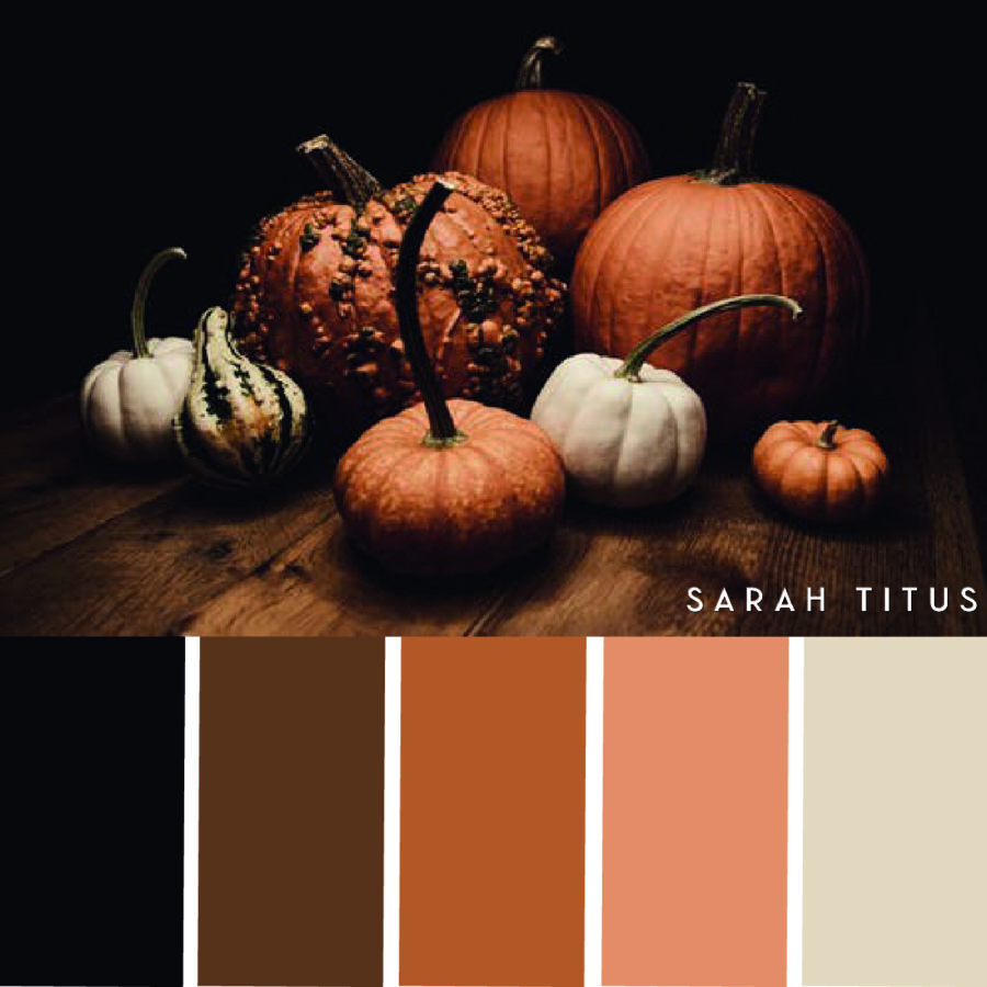 Looking for some Thanksgiving color scheme inspiration? These 25 Thanksgiving color palettes with hex codes are perfect for color combination ideas this Holiday season!