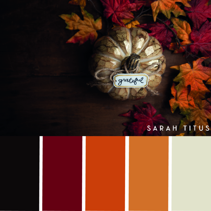 Looking for some Thanksgiving color scheme inspiration? These 25 Thanksgiving color palettes with hex codes are perfect for color combination ideas this Holiday season!