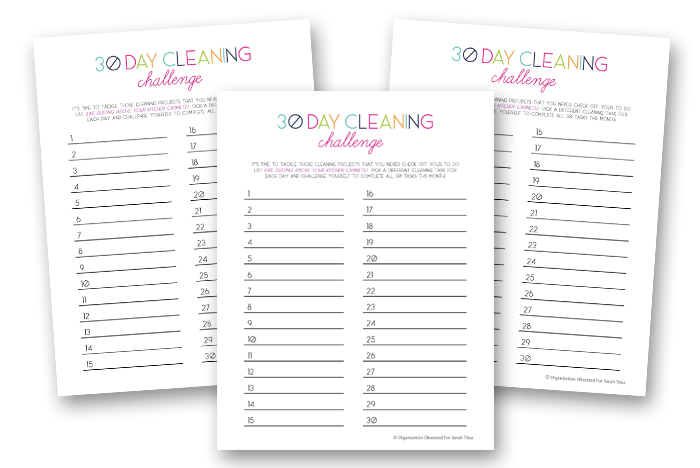 Homemade Cleaning Recipes Binder - 30 Day Cleaning Challenge