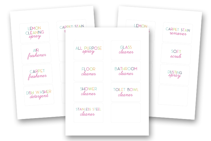 Homemade Cleaning Recipes Binder - Labels