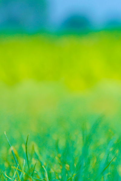 20 Ideas on How to Develop Fruits of the Spirit