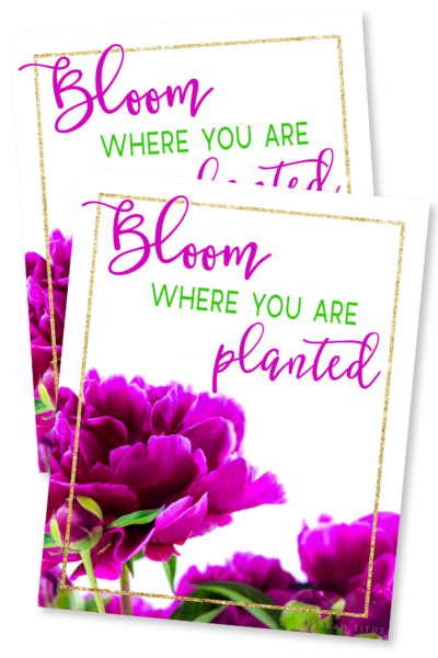 Bloom Where You're Planted Wall Art-01