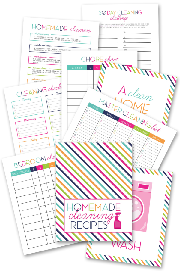 Homemade Cleaning Recipes Binder