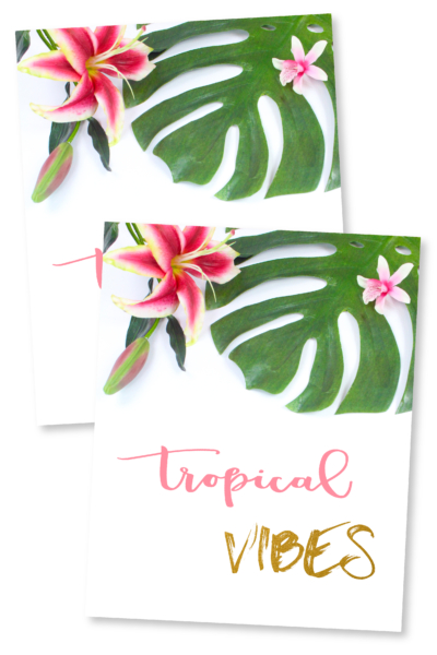 Tropical Vibes-01