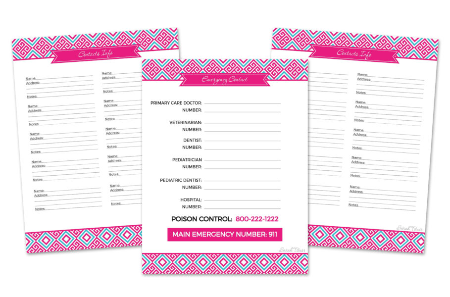 Household Binder Printables {110+ Pages} - Sarah Titus