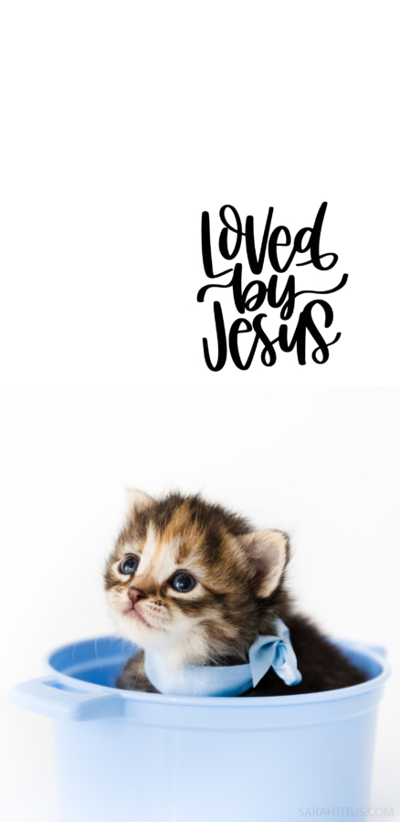 Loved By Jesus Kitten Cat Wallpaper-Phone