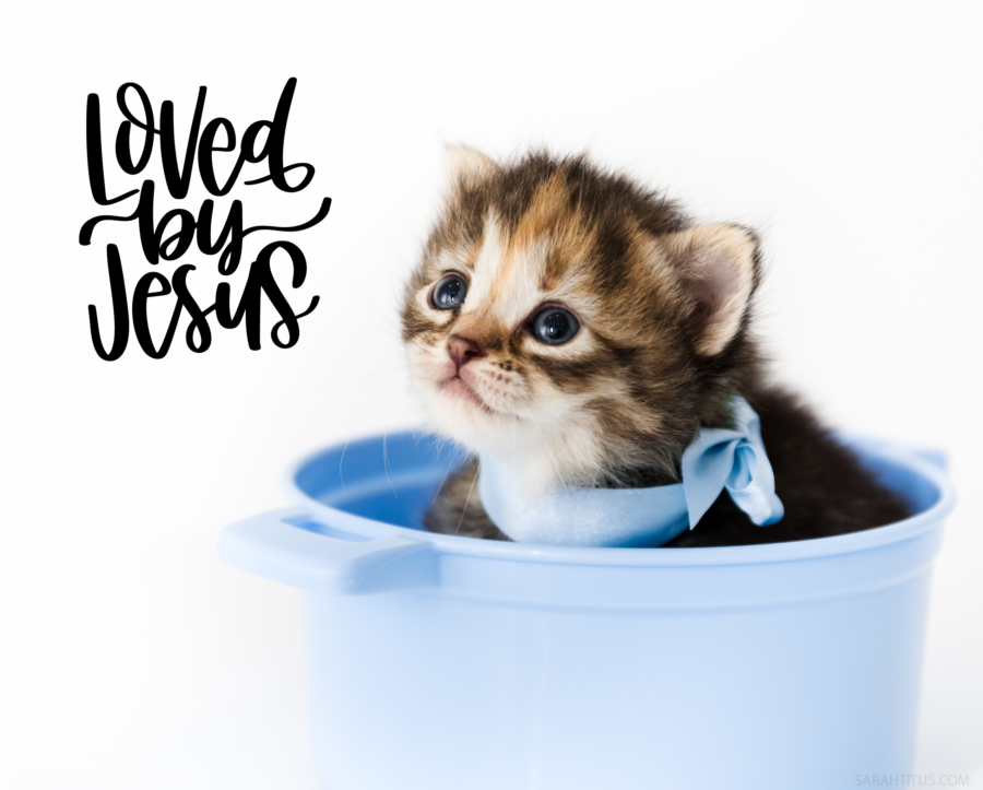 Loved By Jesus Kitten Cat Wallpaper-Laptop