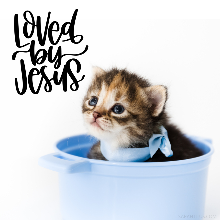 Loved By Jesus Kitten Cat Wallpaper-Instagram