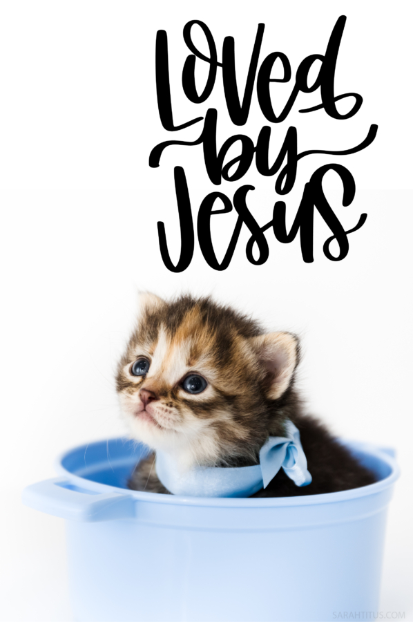 Loved By Jesus Kitten Cat Wallpaper-Pinterest
