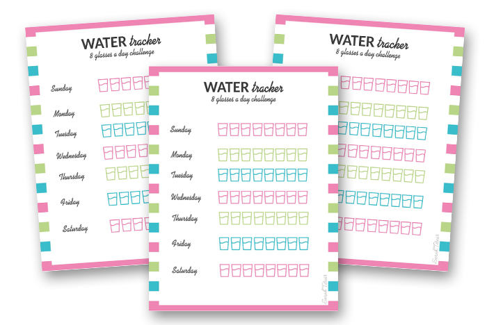 Medical Binder - Water Tracker