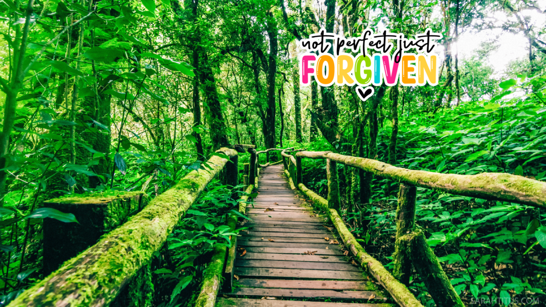 Not Perfect Just Forgiven Wallpaper - Sarah Titus