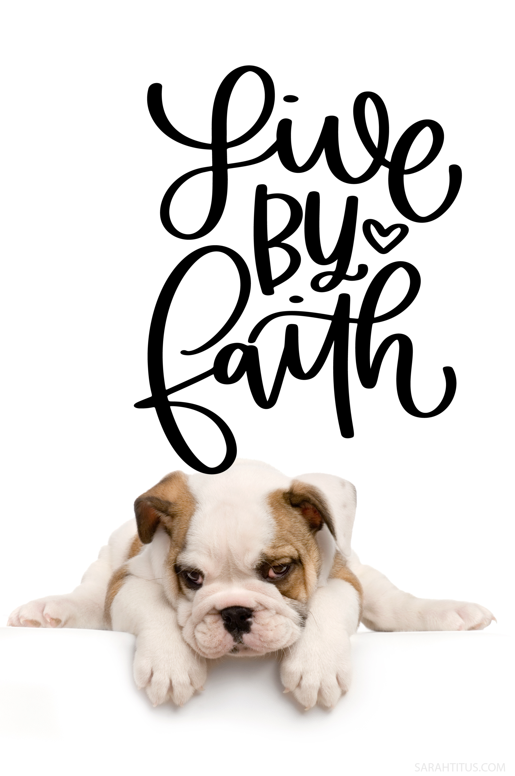 Puppy Dog Live By Faith Wallpaper-Pinterest