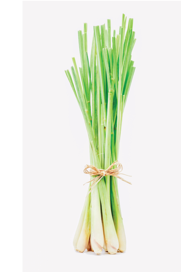 Lemongrass