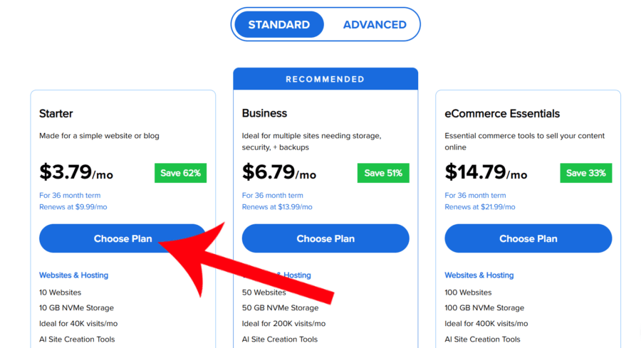 Bluehost Web Hosting Options