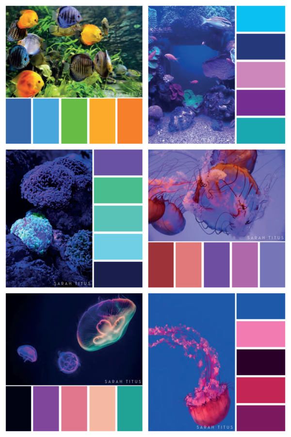 Aquarium Color Palettes